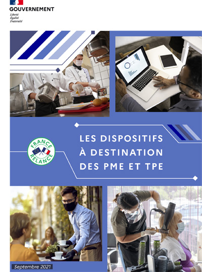 BROCHURE D'INFORMATIONS - Guide TPE-PME - LES DISPOSITIFS A DESTINATION DES ENTREPRISES
